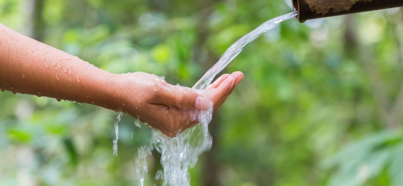 Informazioni ambientali Header con immagine e testo