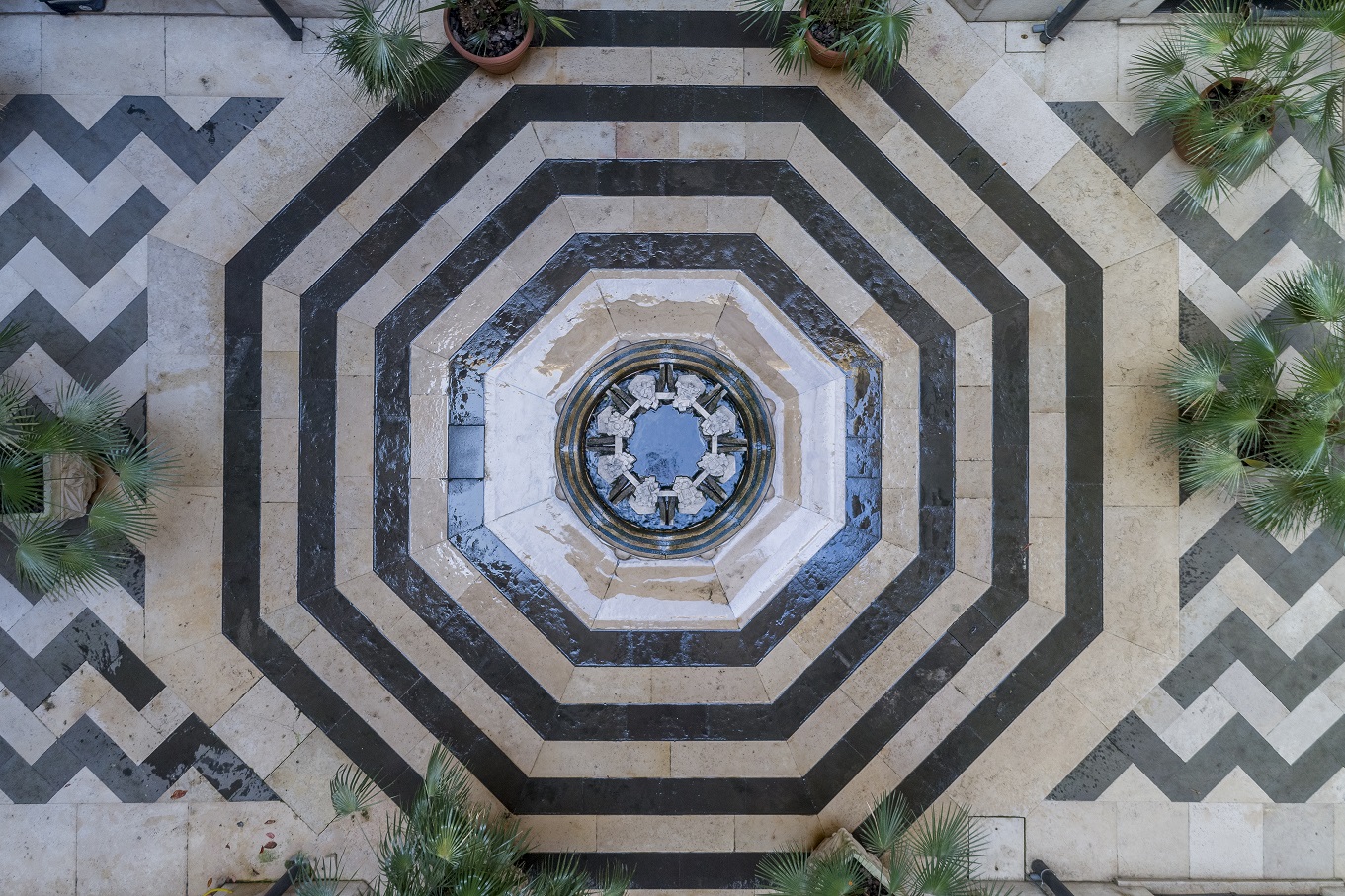 Struttura organizzativa Header con immagine e testo