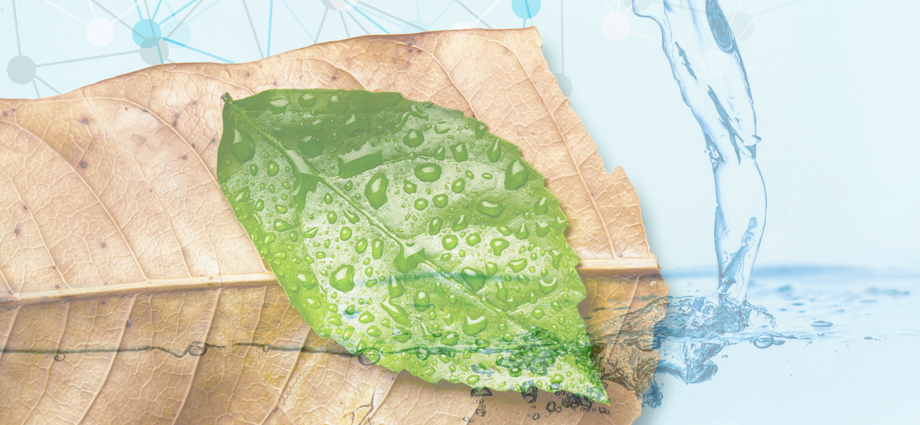 Il risparmio intelligente