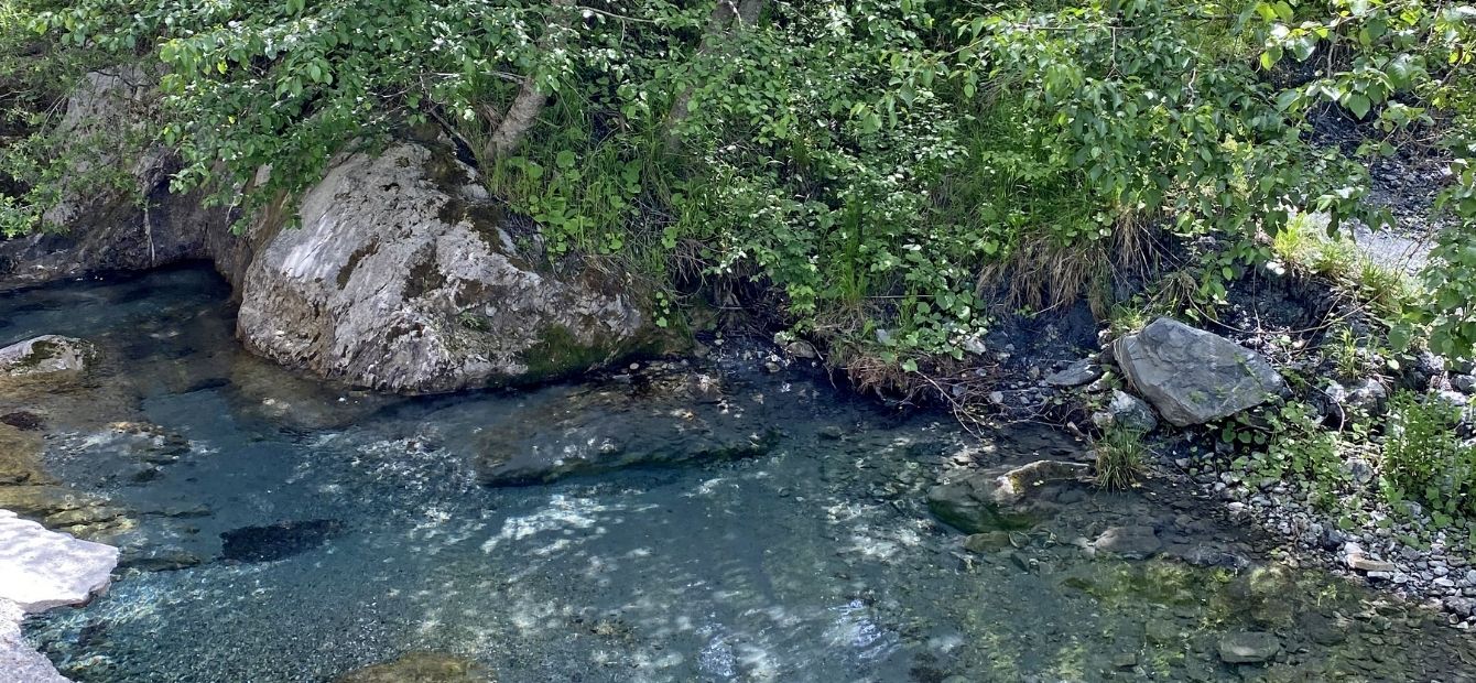 Esterno Frida - Fonte