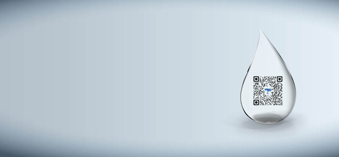 Campagna Comunicazione PagoPA