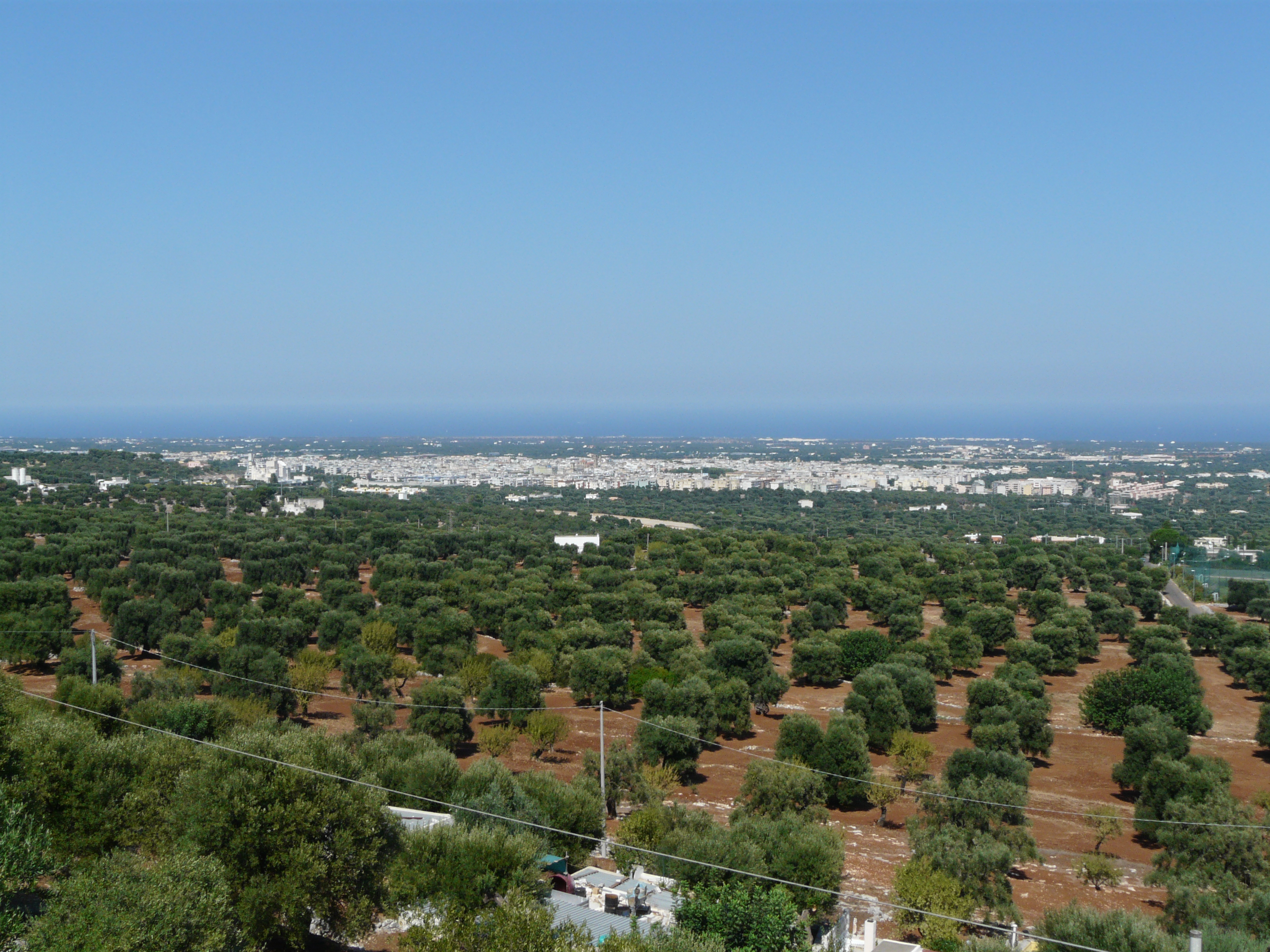 Risanamento reti a Fasano