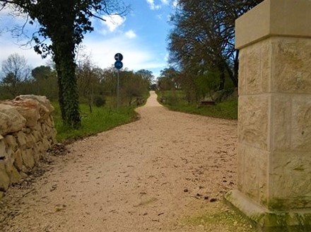 alla scoperta dell'acqua