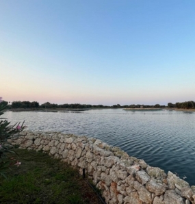 Foto del mare di Fasano