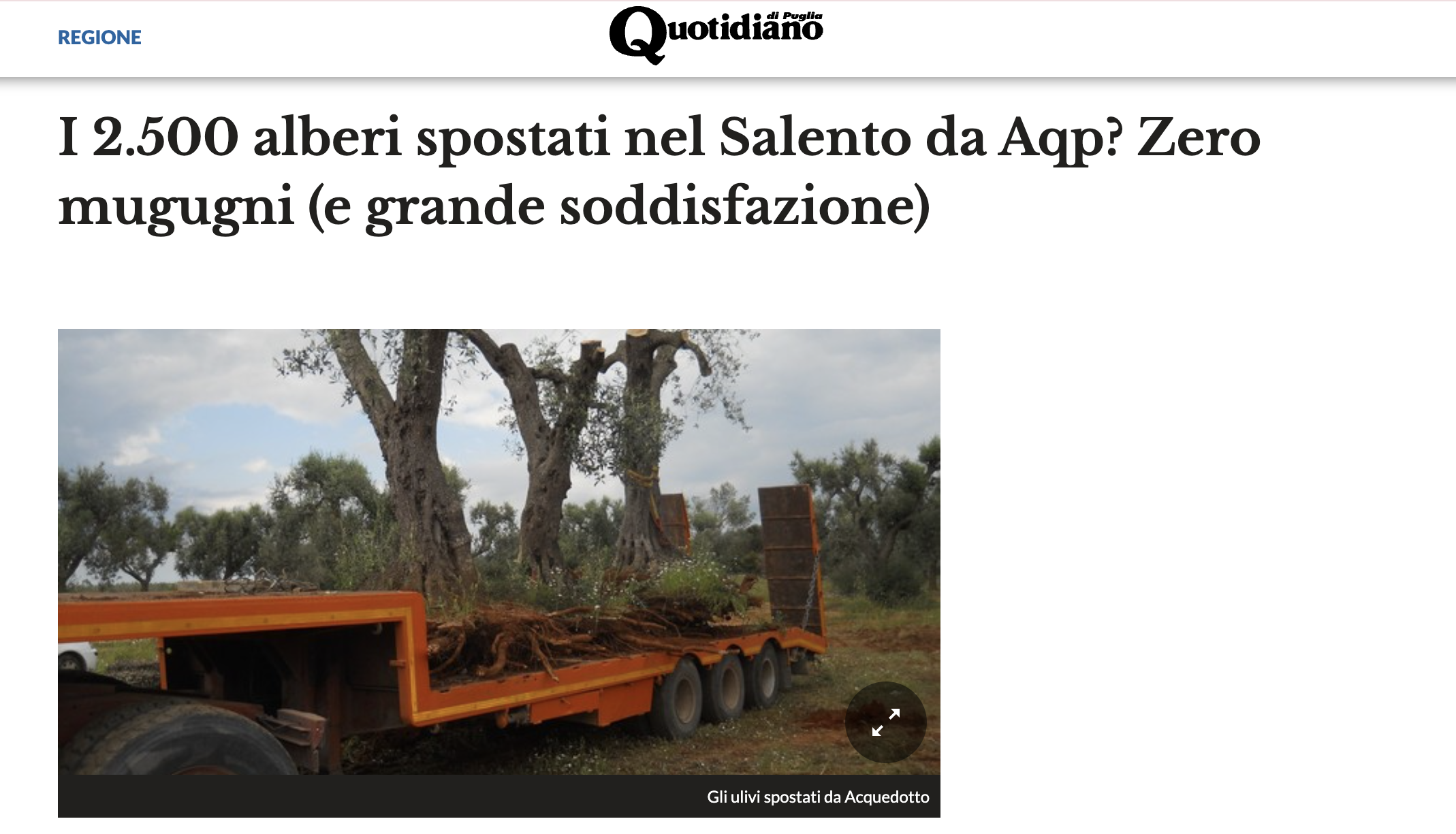 Foto di un articolo del quotidiano