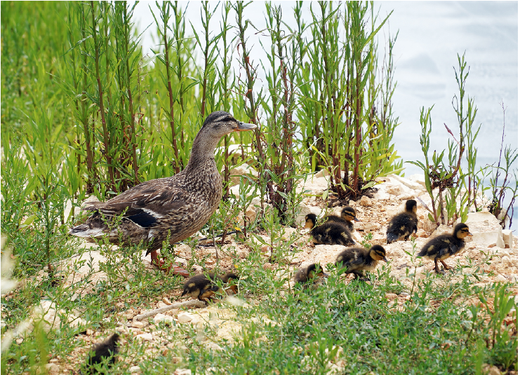La casa della biodiversità