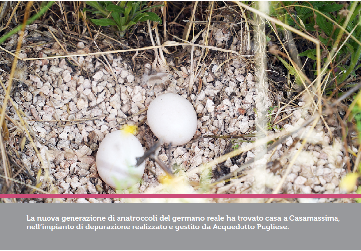 La casa della biodiversità