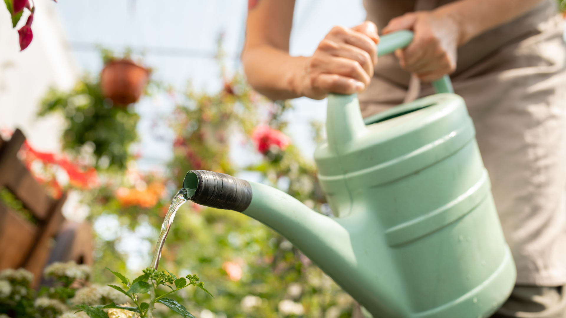 regole per risparmiare