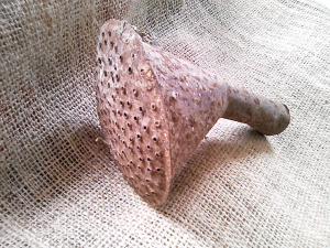 Doccino per innafiatoio