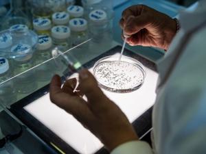 Laboratorio di chimica - Analisi dell'acqua