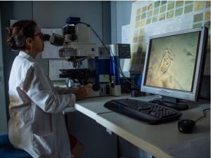 Laboratorio di chimica