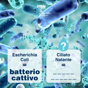 QUIZ AQP SOCIAL - Settima domanda