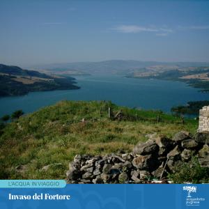 Gli invasi sono sbarramenti gestiti da consorzi e di enti di bonifica dove le acque vengono utilizzate per vari usi: agricolo, insdustriale e potabile.Per poterla distribuire nelle nostre case, l'acqua viene trattata da AQP per renderla sicura e buona da bere.