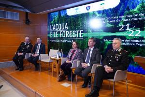 L'acqua e le foreste