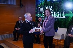 L'acqua e le foreste