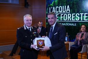 L'acqua e le foreste