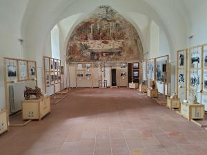 La fontana racconta veglie mostra