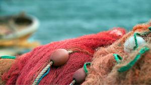 Campagna Report 2023