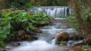 Concerto Caposele Concerto Caposele