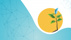 prova rpogetto ronsas prova progetto ronsas