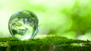 card natalizia 2025.2 palla di vetro poggiata su un muschio nel bosco