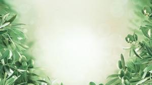 Evento 18 dicembre sfondo verde con una cornice fatta di foglie di ulivo