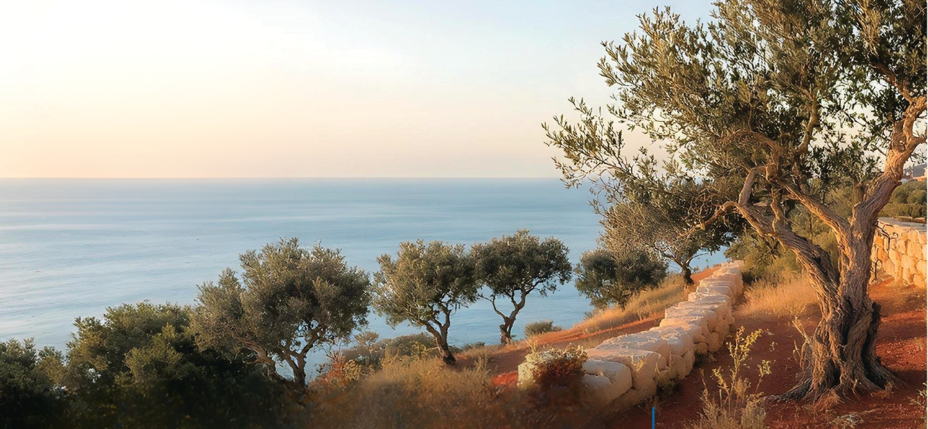 immagine di una scogliera con ulivi 